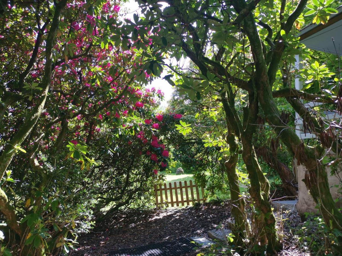 Treeside Woodhouse Villa Hawkshead Exterior photo