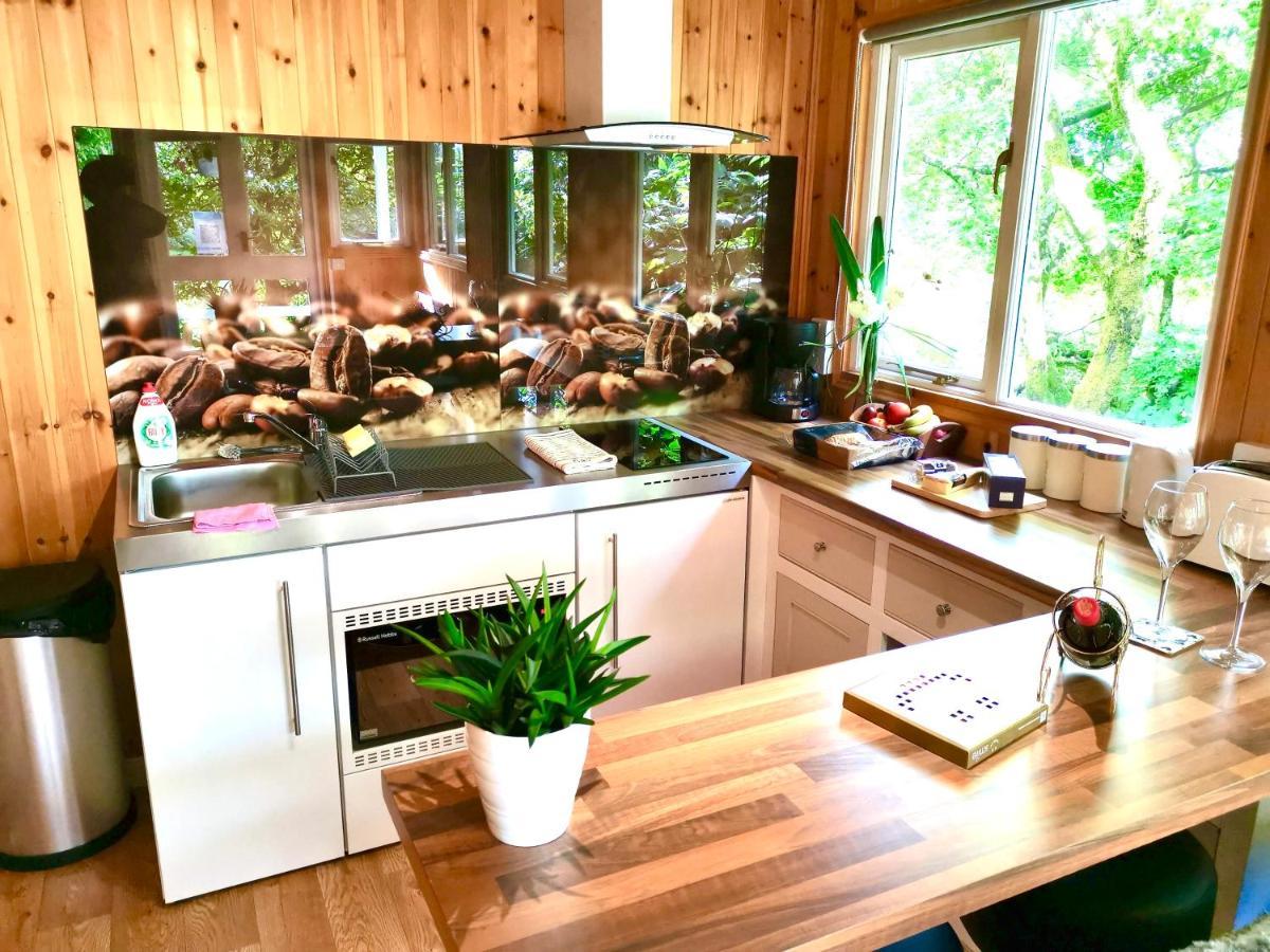 Treeside Woodhouse Villa Hawkshead Exterior photo